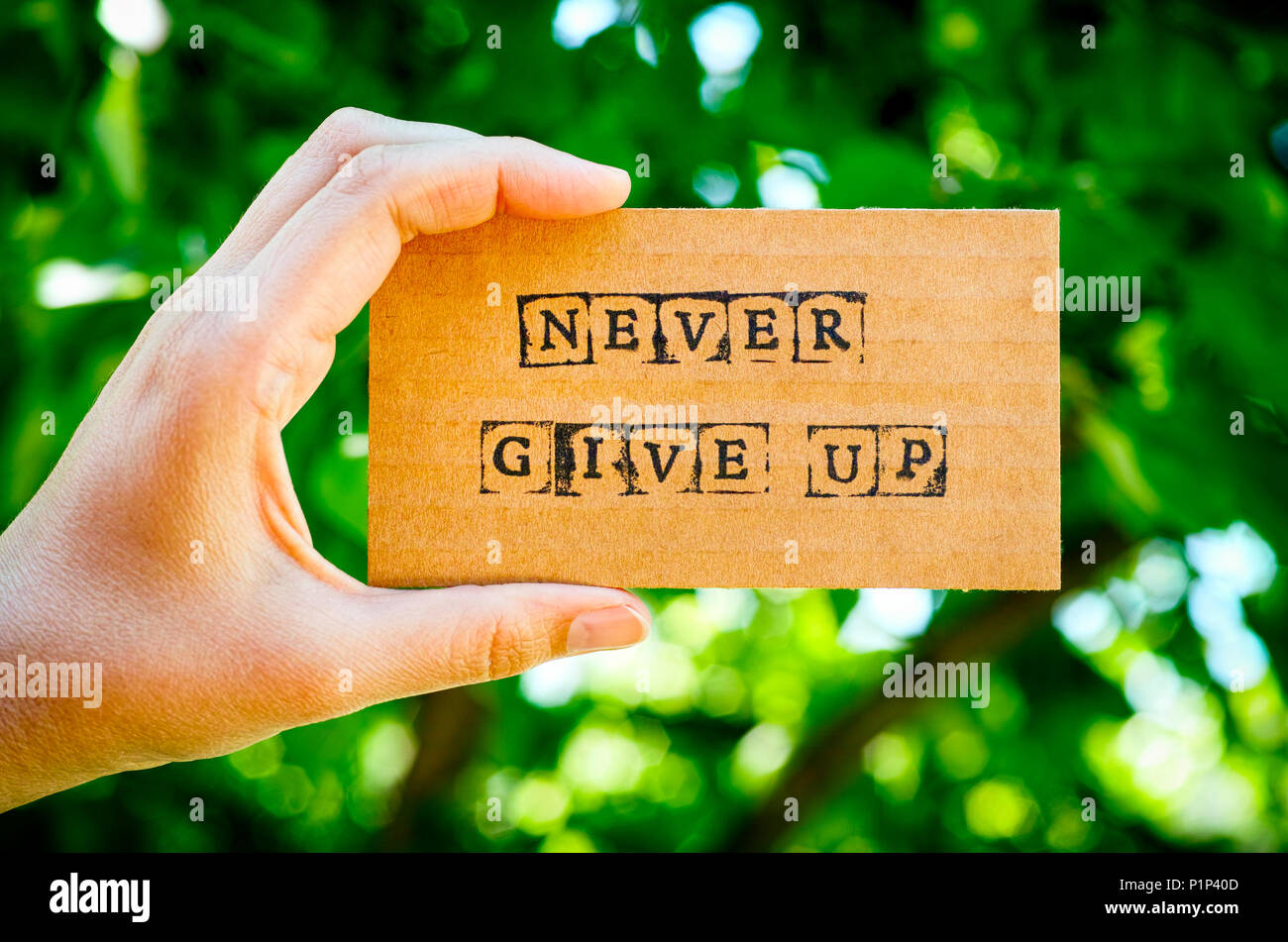 Woman hand holding cardboard card with words Never Give Up made by black alphabet stamps against green nature background. Stock Photo