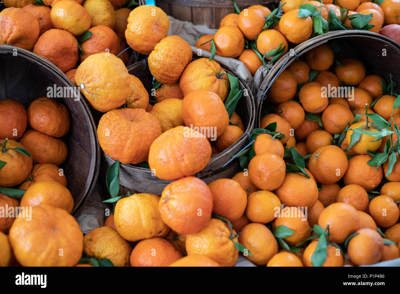 Juice and colorful citrus lemons, oranges, grapefruits in baskets on a