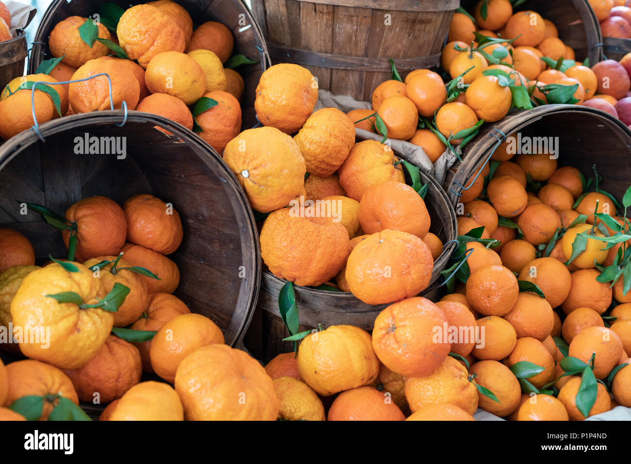Juice and colorful citrus lemons, oranges, grapefruits in baskets on a