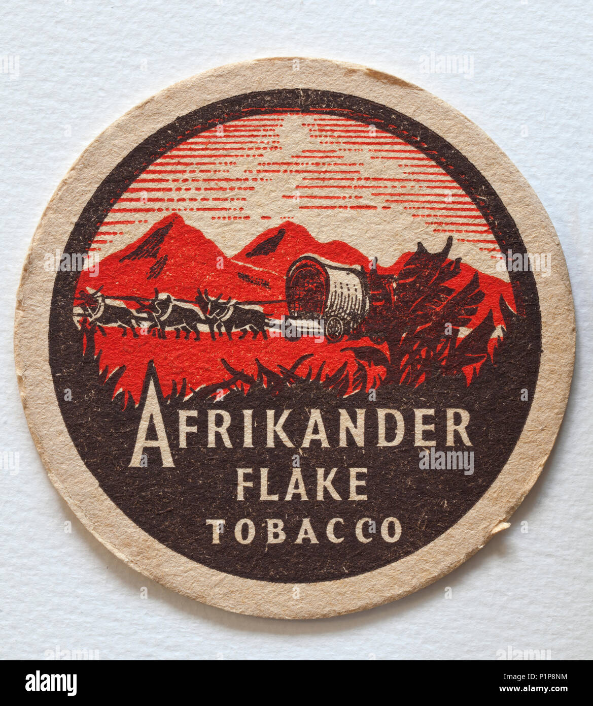 Afrikander hi-res stock photography and images