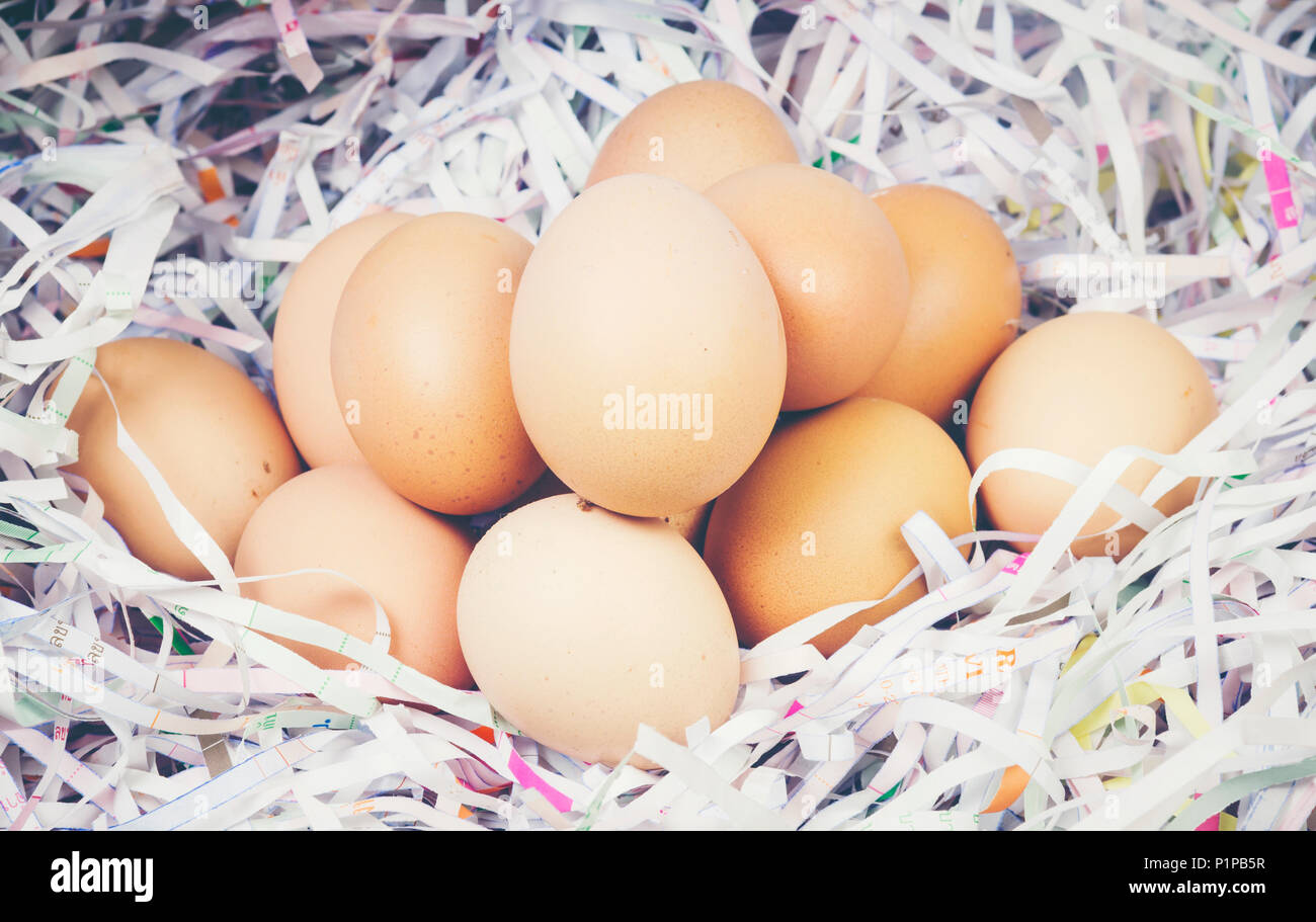 chicken eggs isolated on white Stock Photo - Alamy