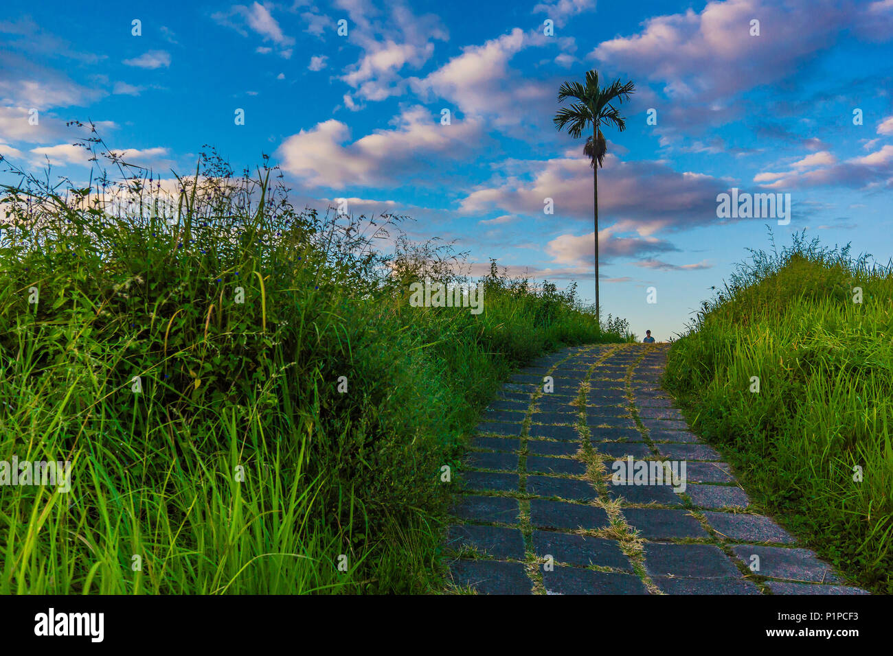 Campuhan Ridge Walk in the morning twilight, a paved pathway over the hills  outside Ubud, Bali, Indonesia, April 15, 2018 Stock Photo