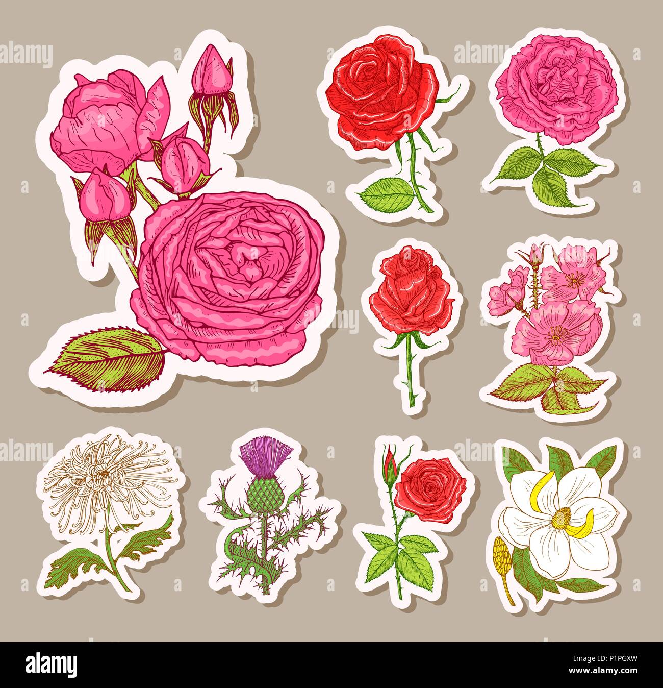 Classic Garden Flowers | Assorted 8 Card Set Classic Garden Flowers | Assorted 8 Card Set