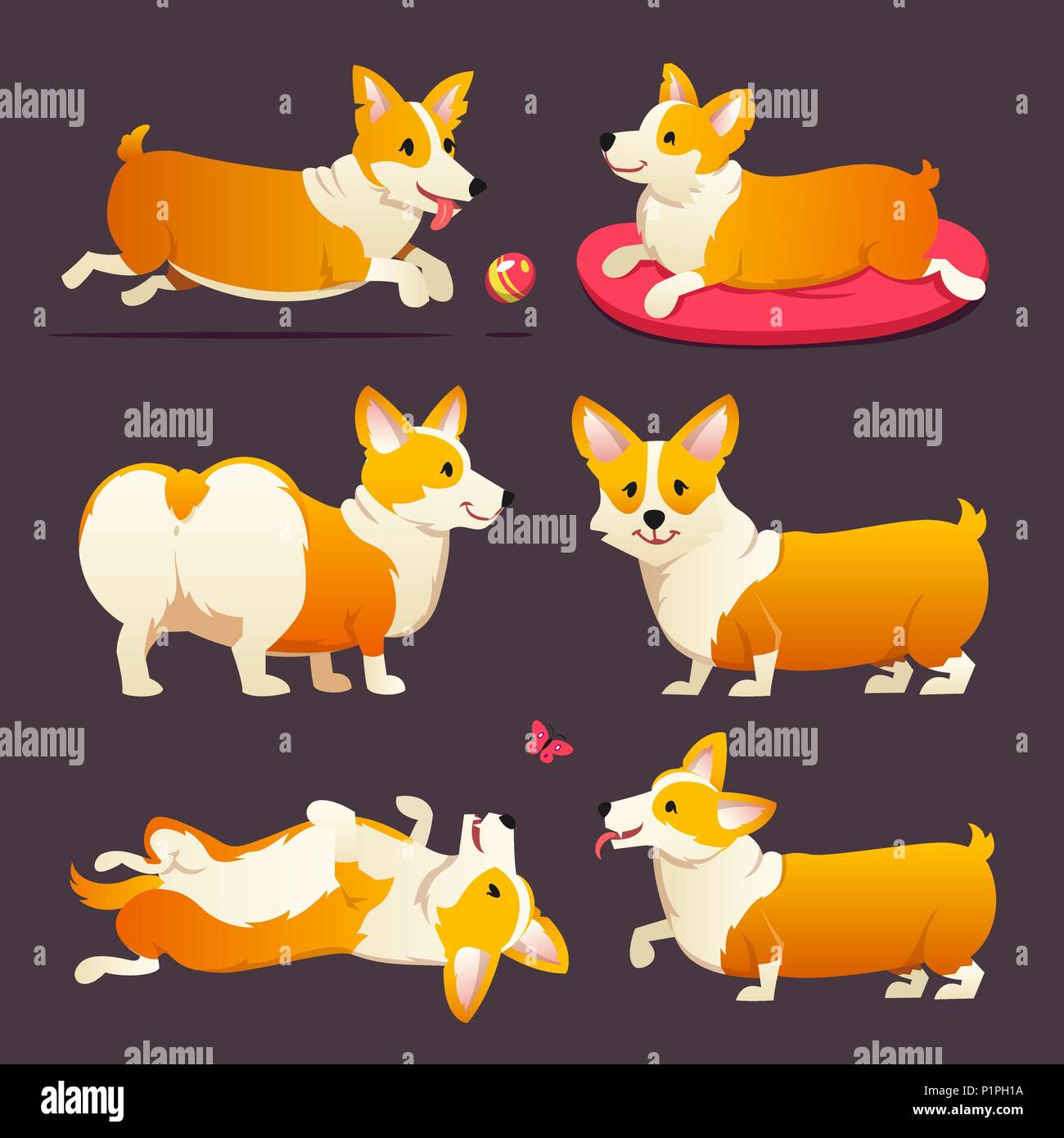 Set Of Cute Dogs Breed Welsh Corgi Pembroke On Purple Background