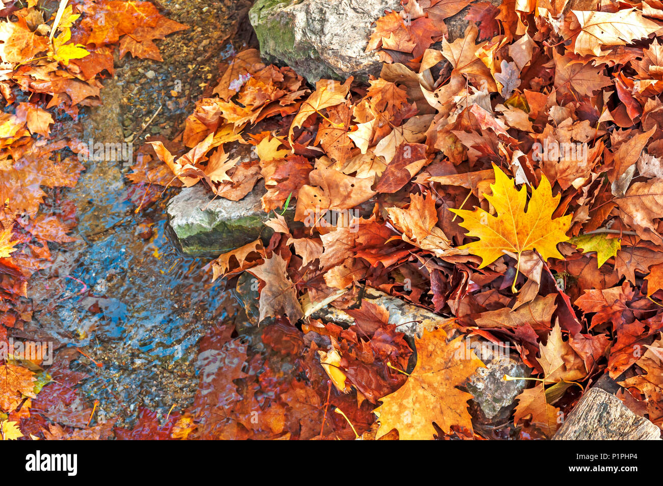Rock creek park and vintage hi-res stock photography and images - Alamy