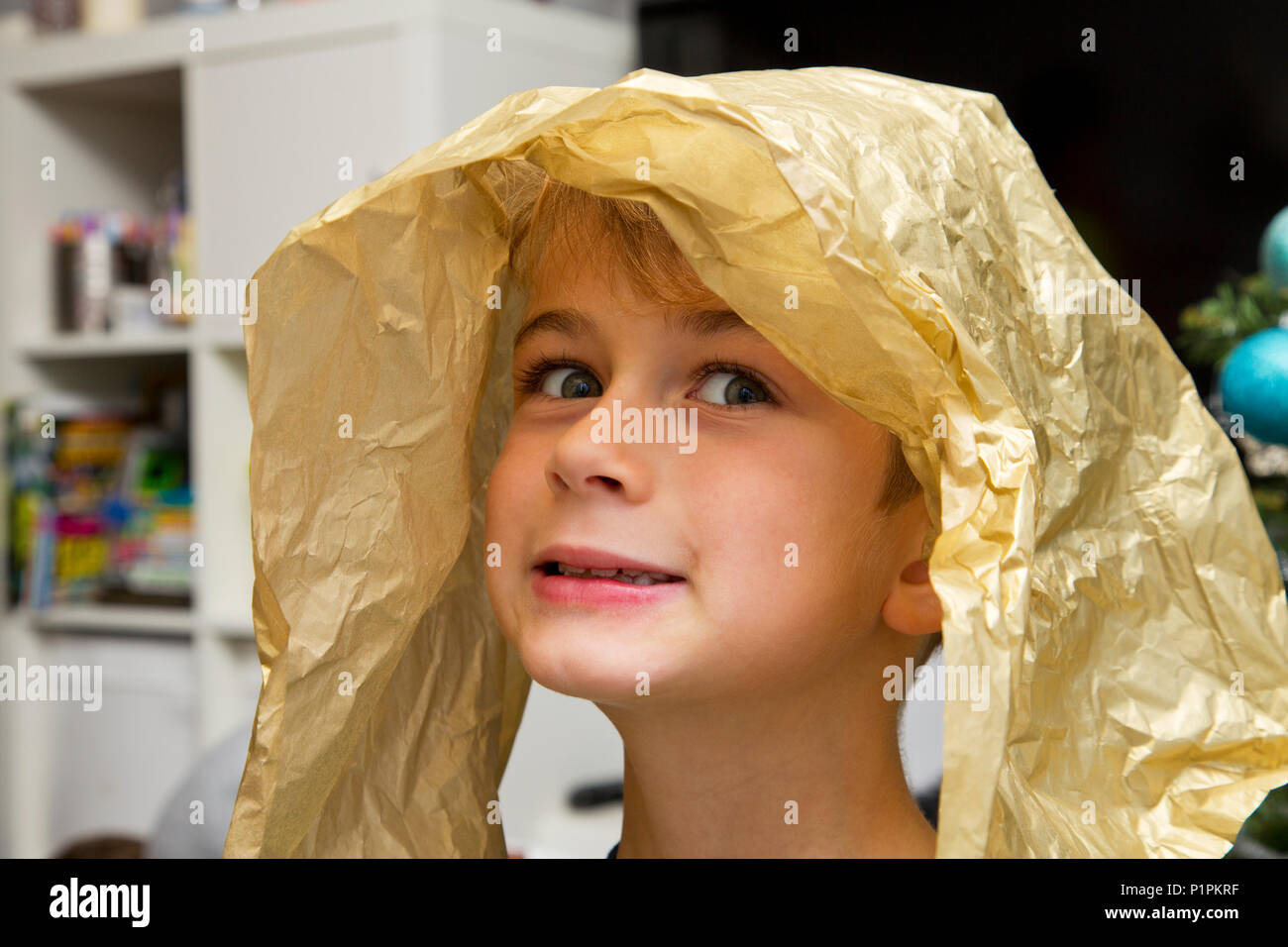 Portrait of a young boy with a piece of wrapping paper on his head making a silly face; Langley, British Columbia, Canada Stock Photo