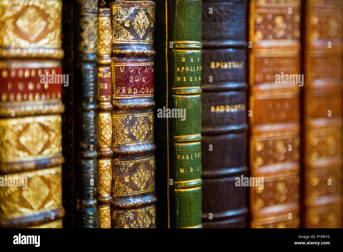 Spines of old hardback antique books on a shelf Stock Photo