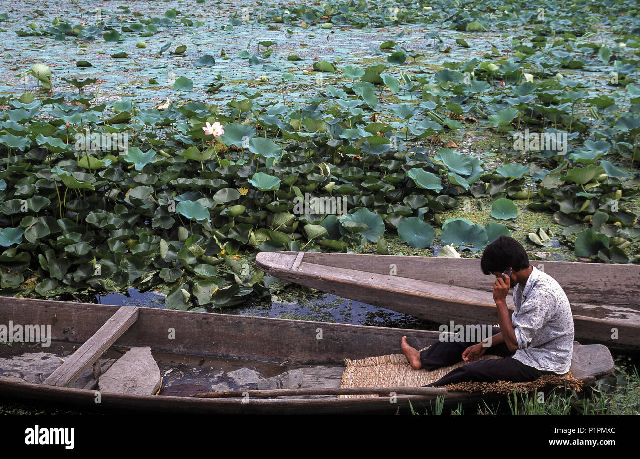 Srinagar, India, Man sitting in a wooden boat on the Dal Lake Stock Photo