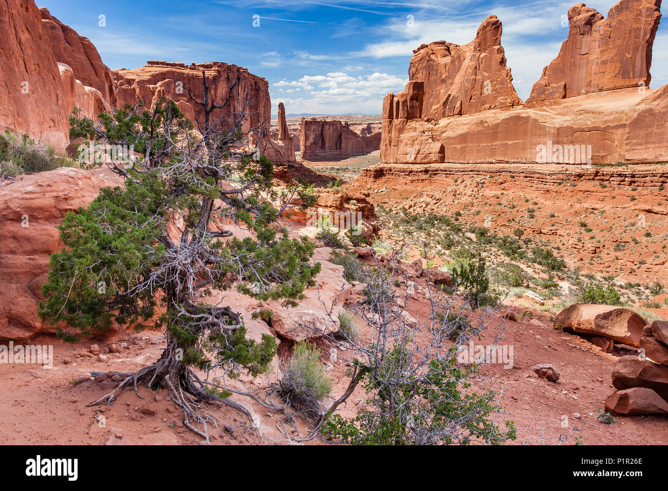 Park Avenue in Arches National Park, Moab, Utah Stock Photo