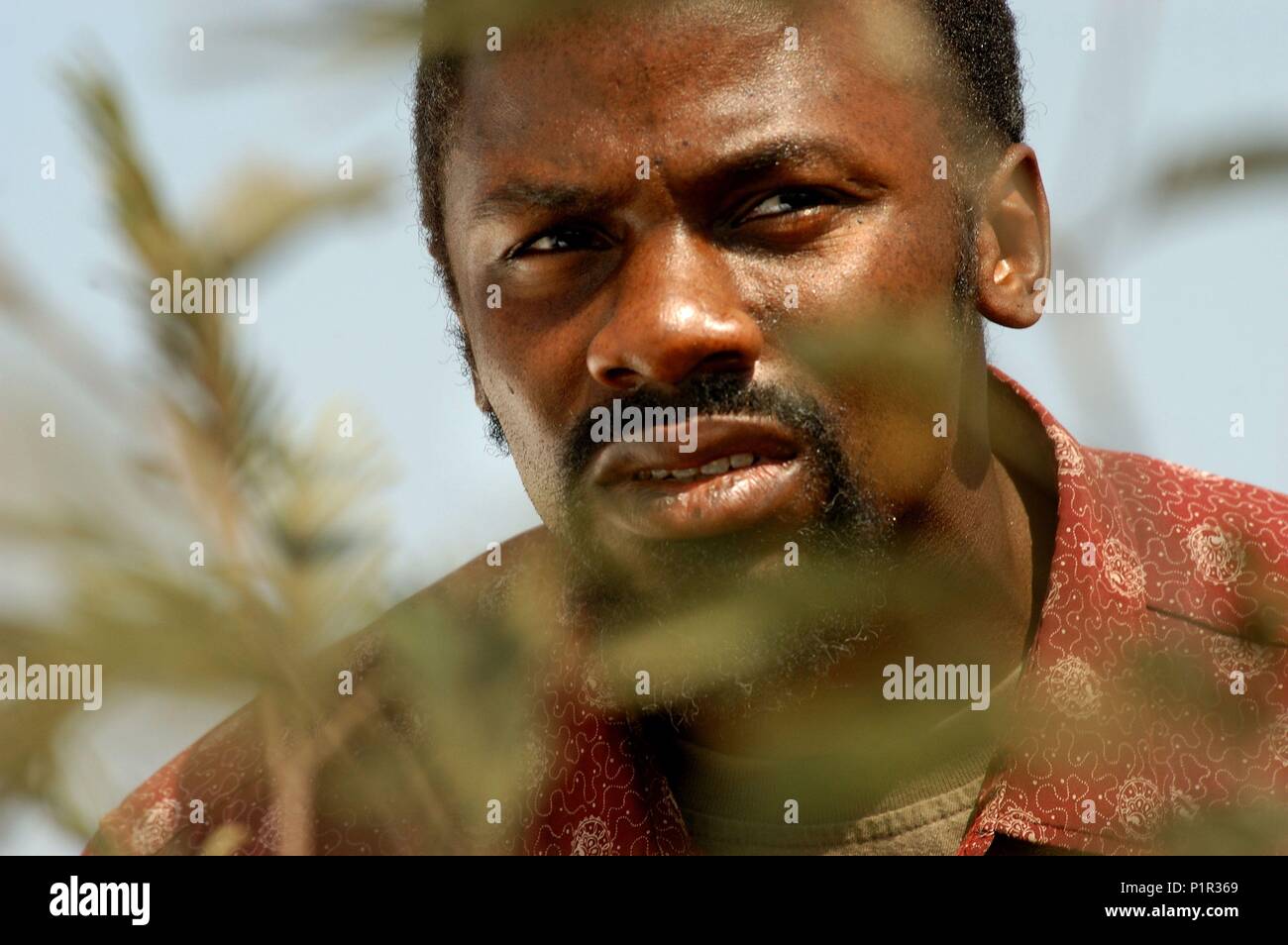 Original Film Title CATCH A FIRE. English Title CATCH A FIRE. Film