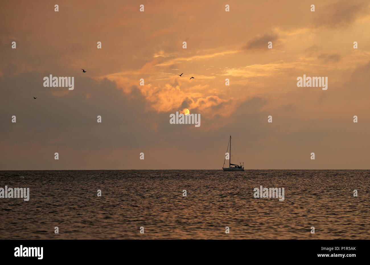 Kuehlungsborn, Germany, sailboat in the morning on the Baltic Sea Stock Photo