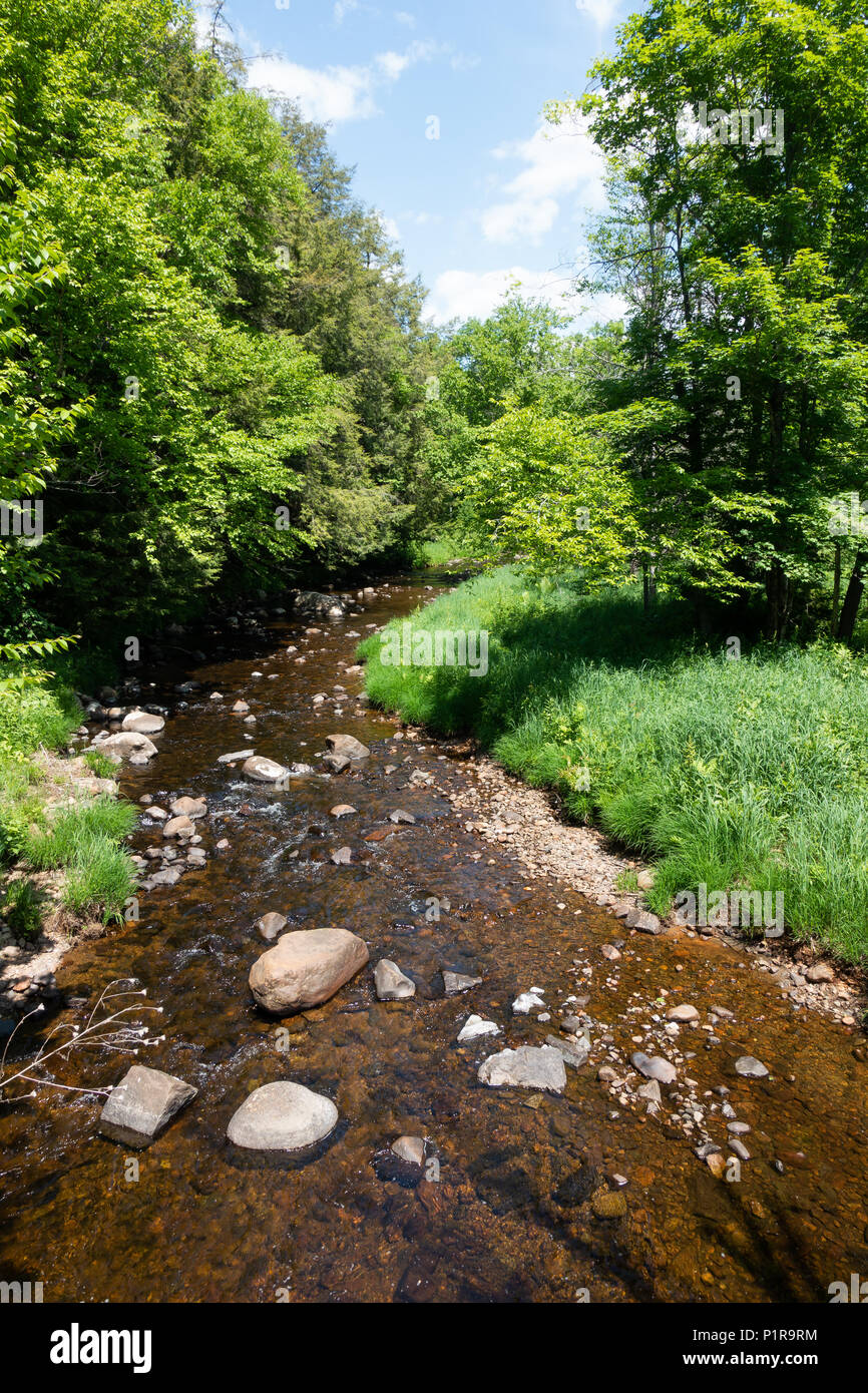 Robbs Creek, a tributary of the Sacandaga River in the Town of Wells, NY in the Adirondack Mountains. Stock Photo