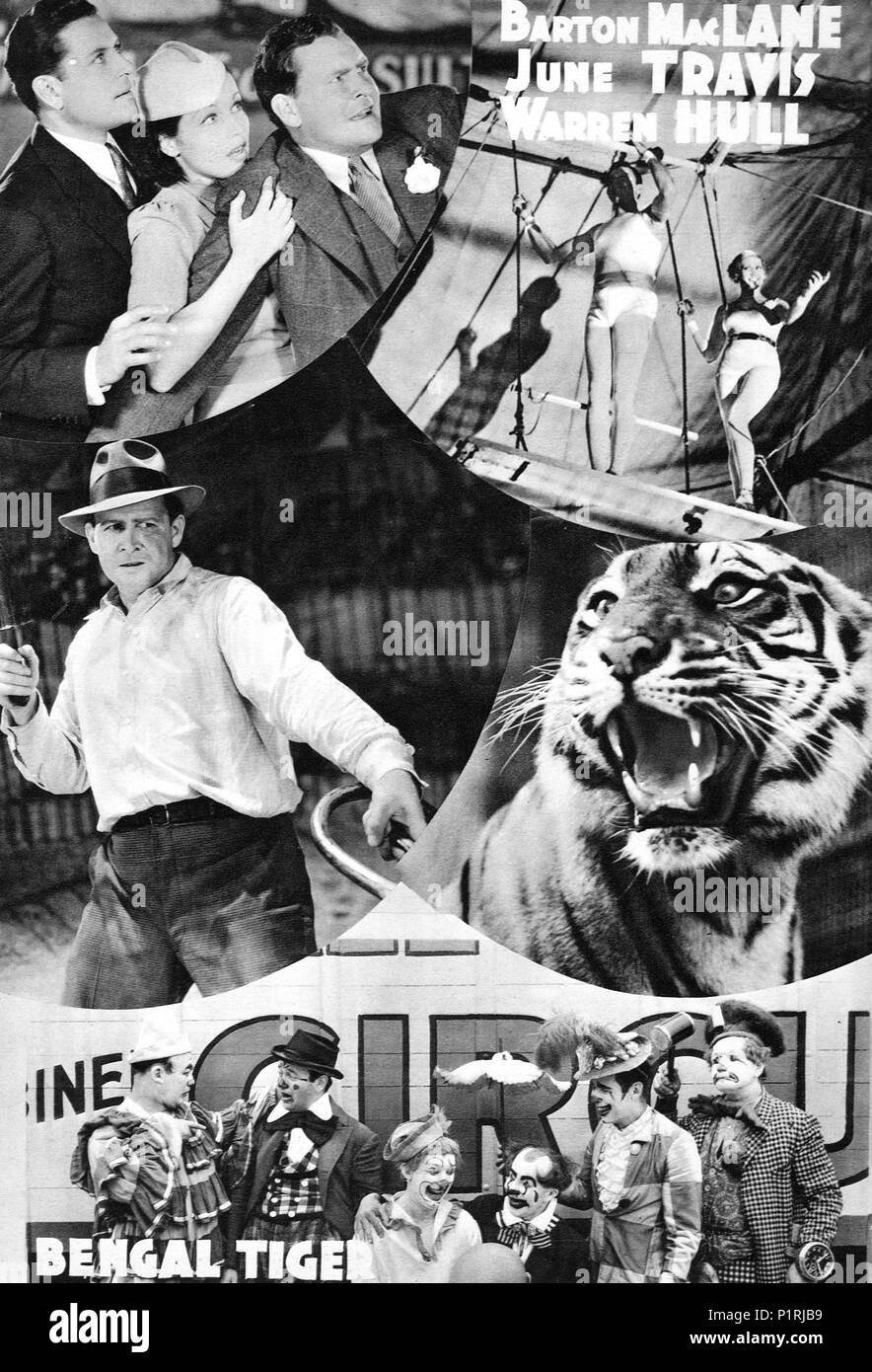 Bengal Tiger (1936) - IMDb