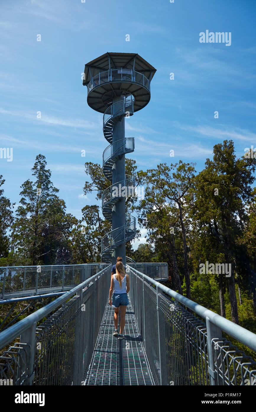 Tourists and tower on Treetop walk, near Hokitika, West Coast, South Island, New Zealand (model released) Stock Photo