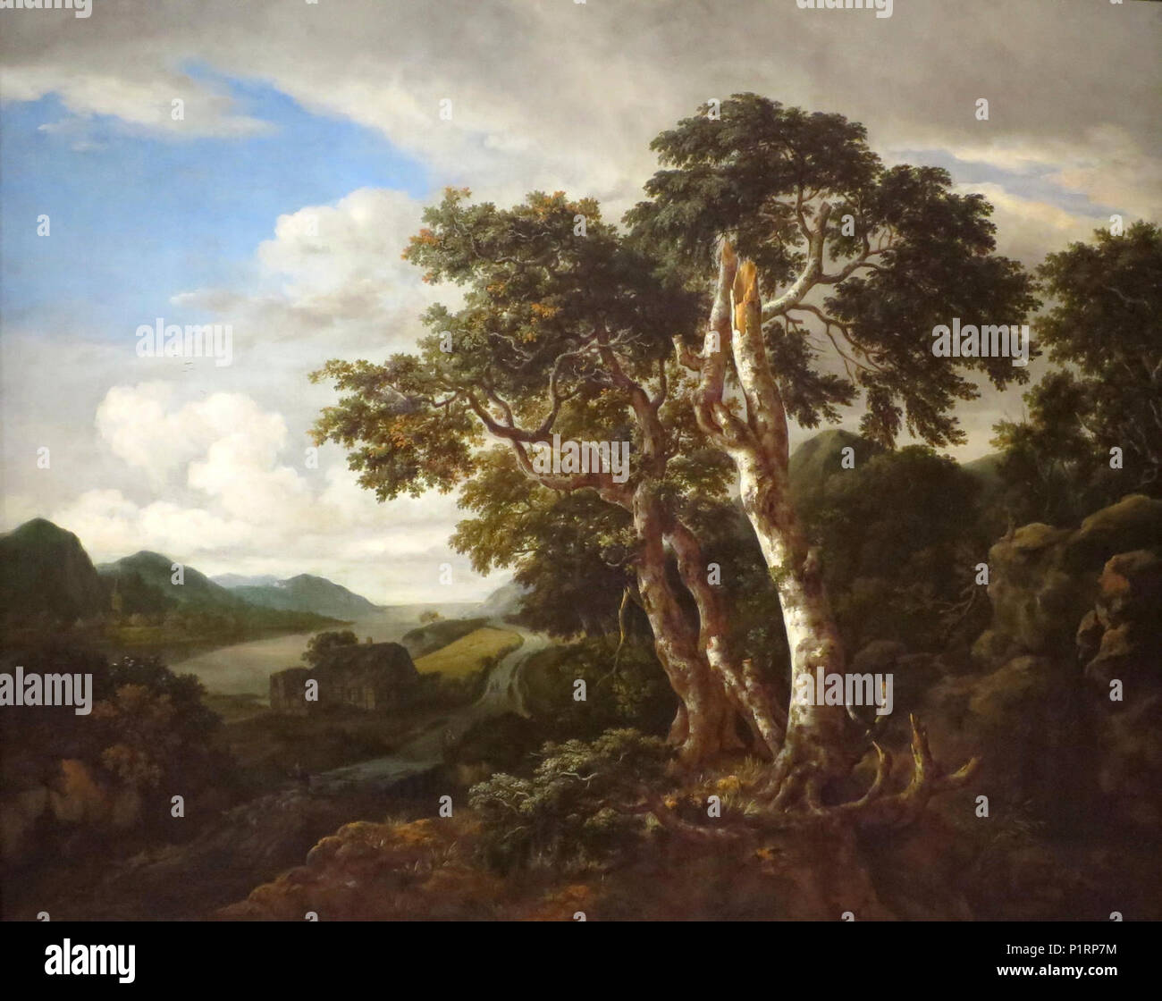 Albums 91+ Pictures three great trees in a mountainous landscape with a river Superb