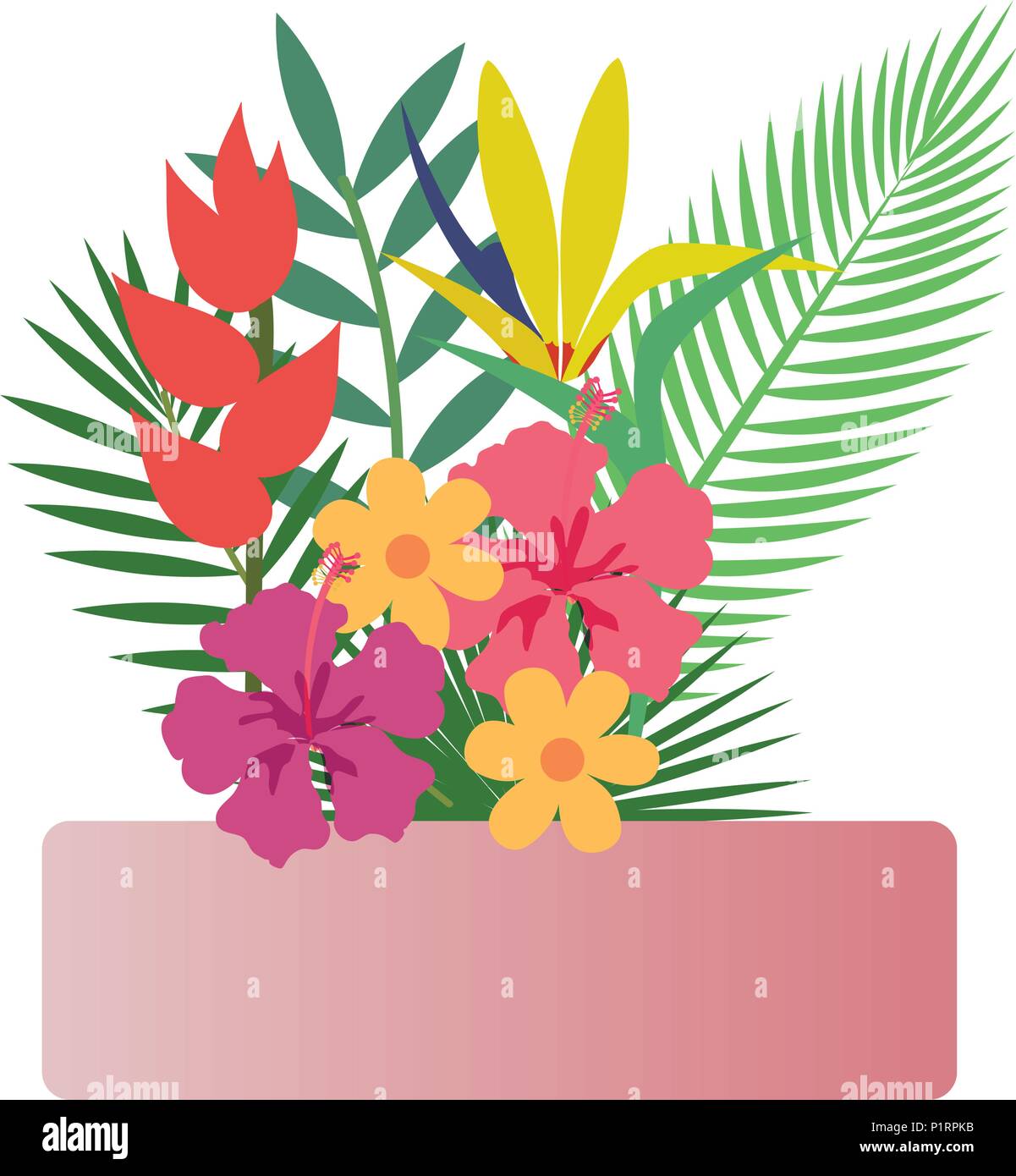 flowers and leafs garden frame vector illustration design Stock Vector ...