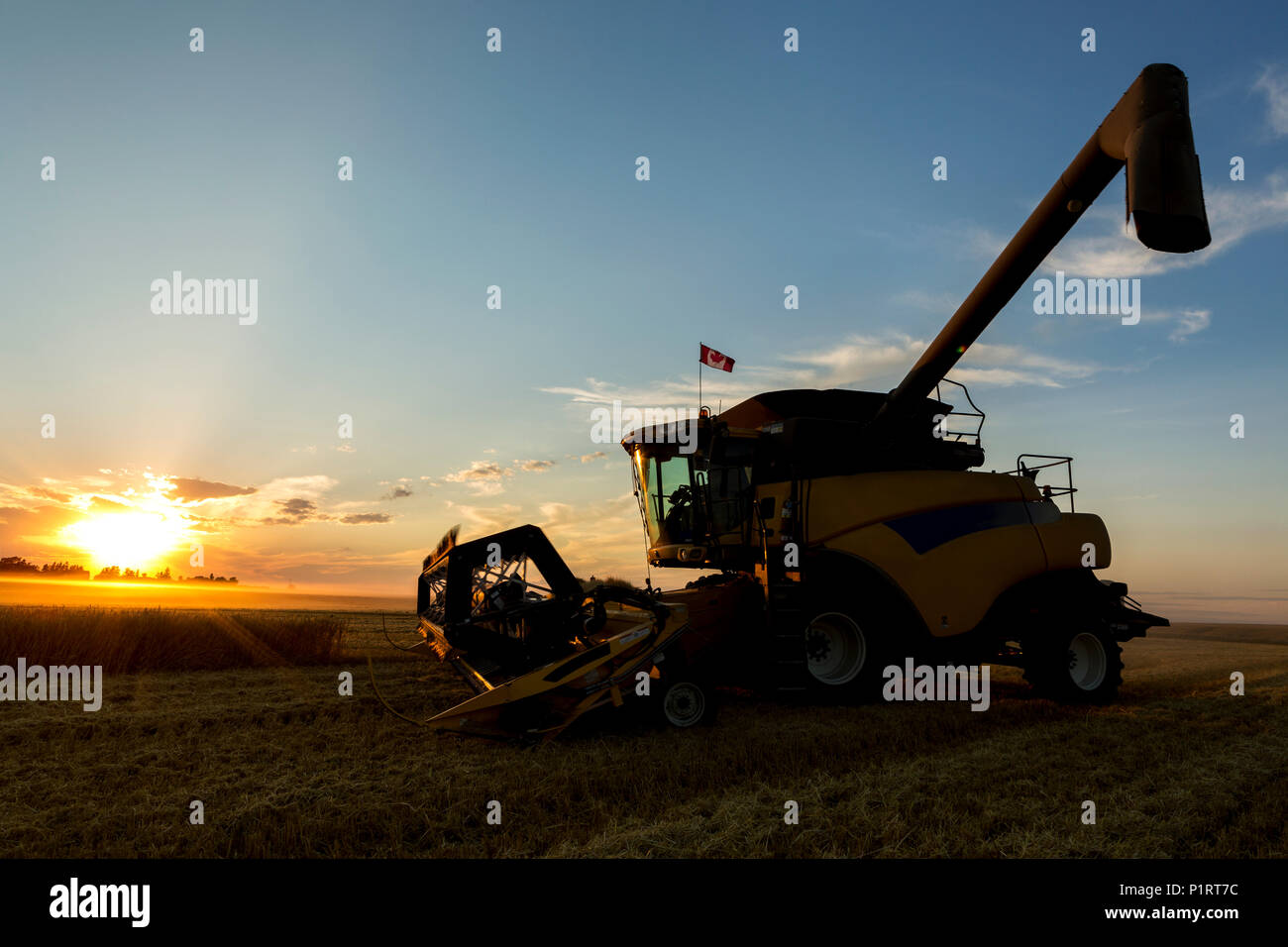 Closeup of a combine in a field at su set with glowing sun and combine