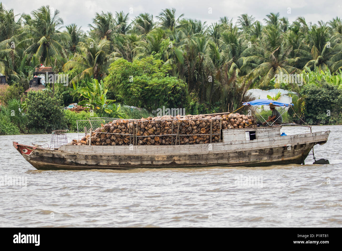 Boat laden with coconuts in the Mekong River; Ben Tre, Vietnam Stock