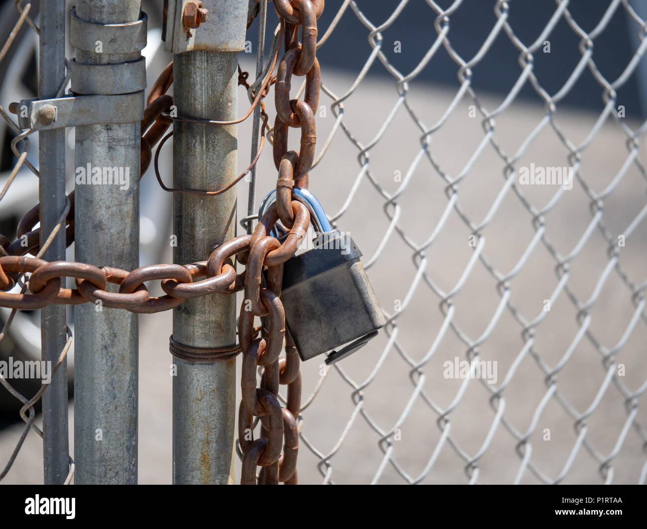 A sturdy chain wraps a chain link fence, closed with a padlock Stock