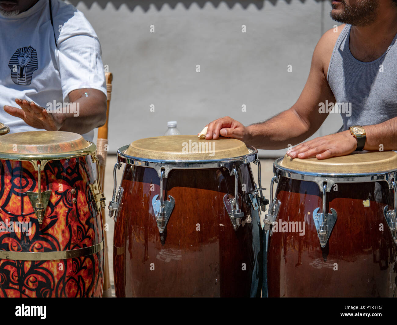 Conga Drum - Rhythm House Drums