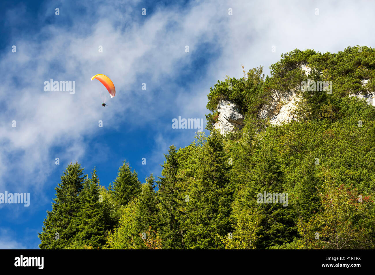 Paraglider flying over tree covered cliff with bue sky and clouds; Grainau, Bavaria, Germany Stock Photo