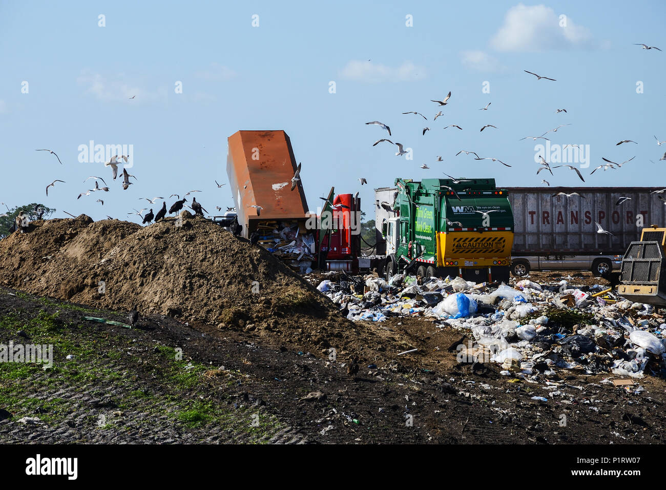 Landfill operations, with various vehicles and seagulls, Sarasota County; Florida, United States of America Stock Photo