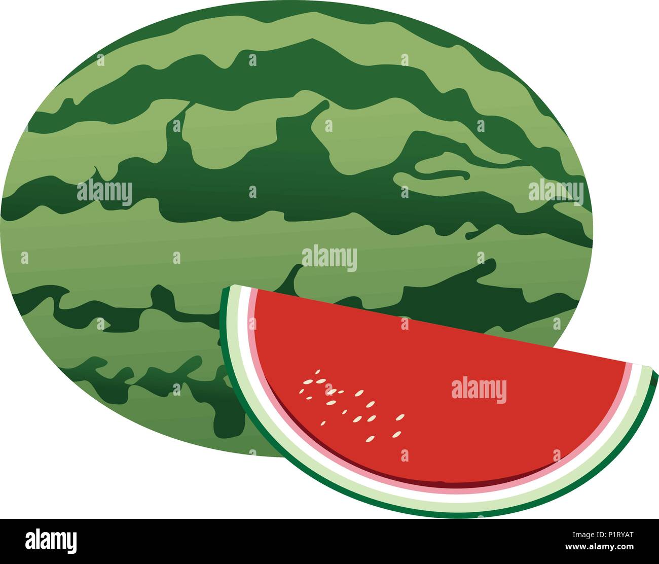 Watermelon fruit isolated Stock Vector Image & Art - Alamy