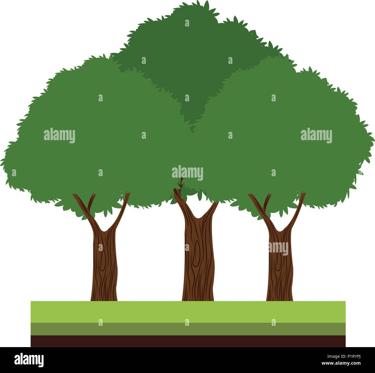 Trees on ground Stock Vector Image & Art - Alamy