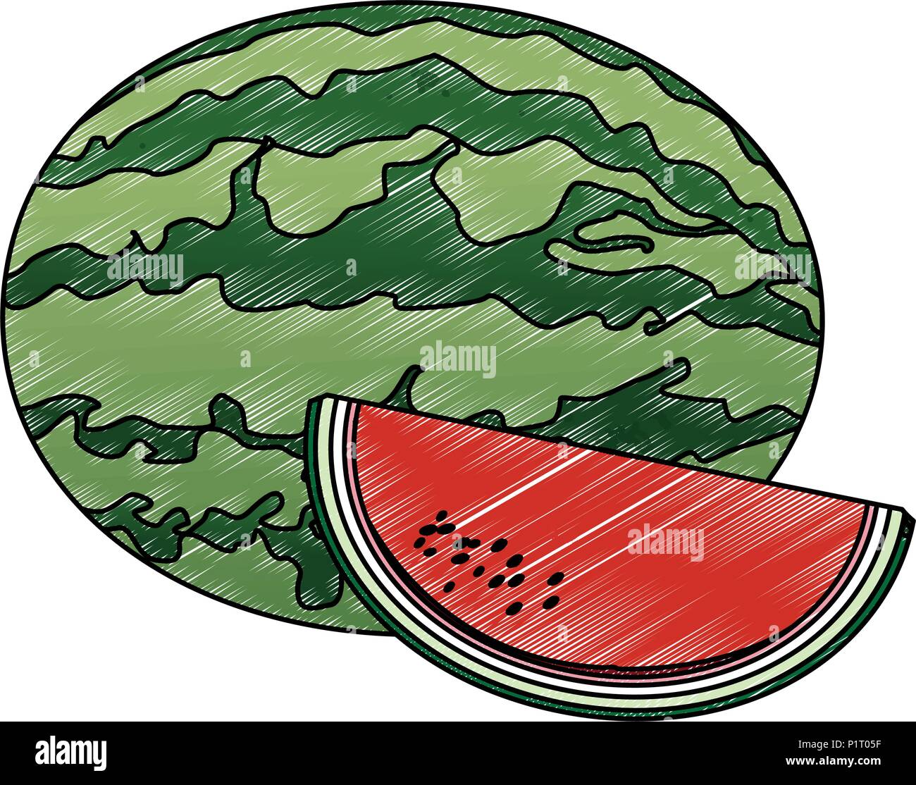 Watermelon fruit isolated scribble Stock Vector Image & Art - Alamy