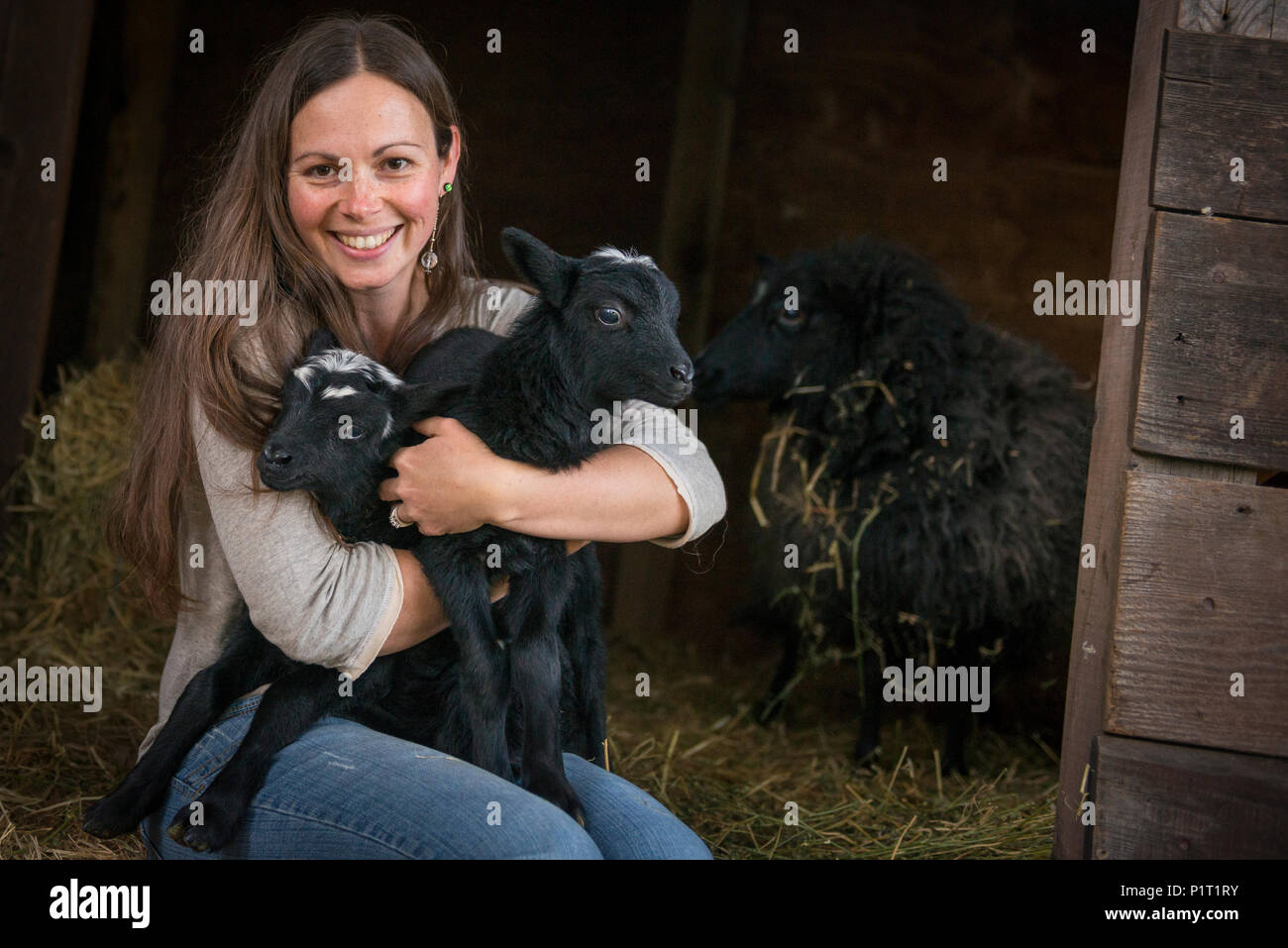 Portrait of an attractive woman with baby black sheep in a rural setting. Stock Photo