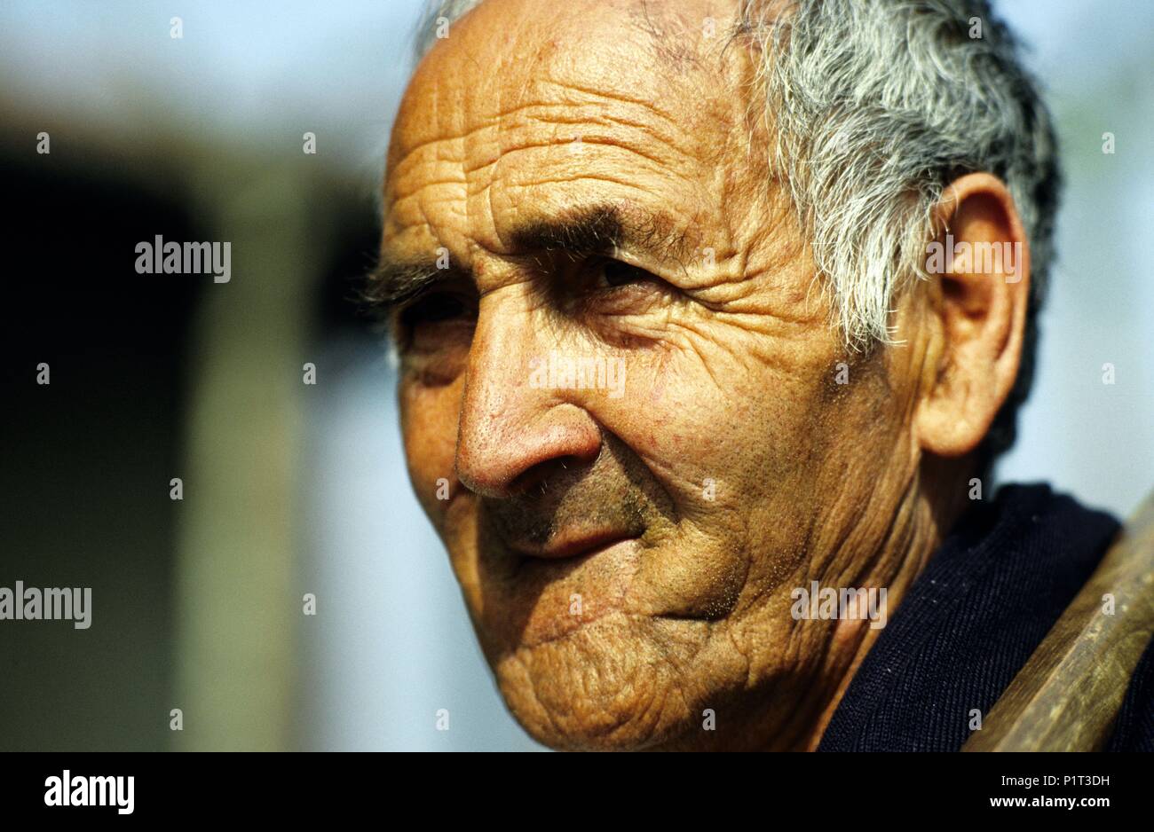 Abanto, old farmer. Stock Photo