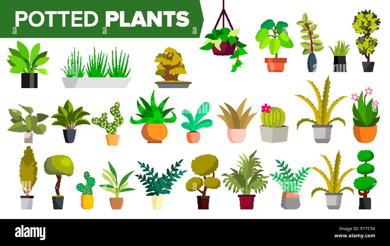 Potted Plants Set Vector Green Color Plants In Pot Indoor Home