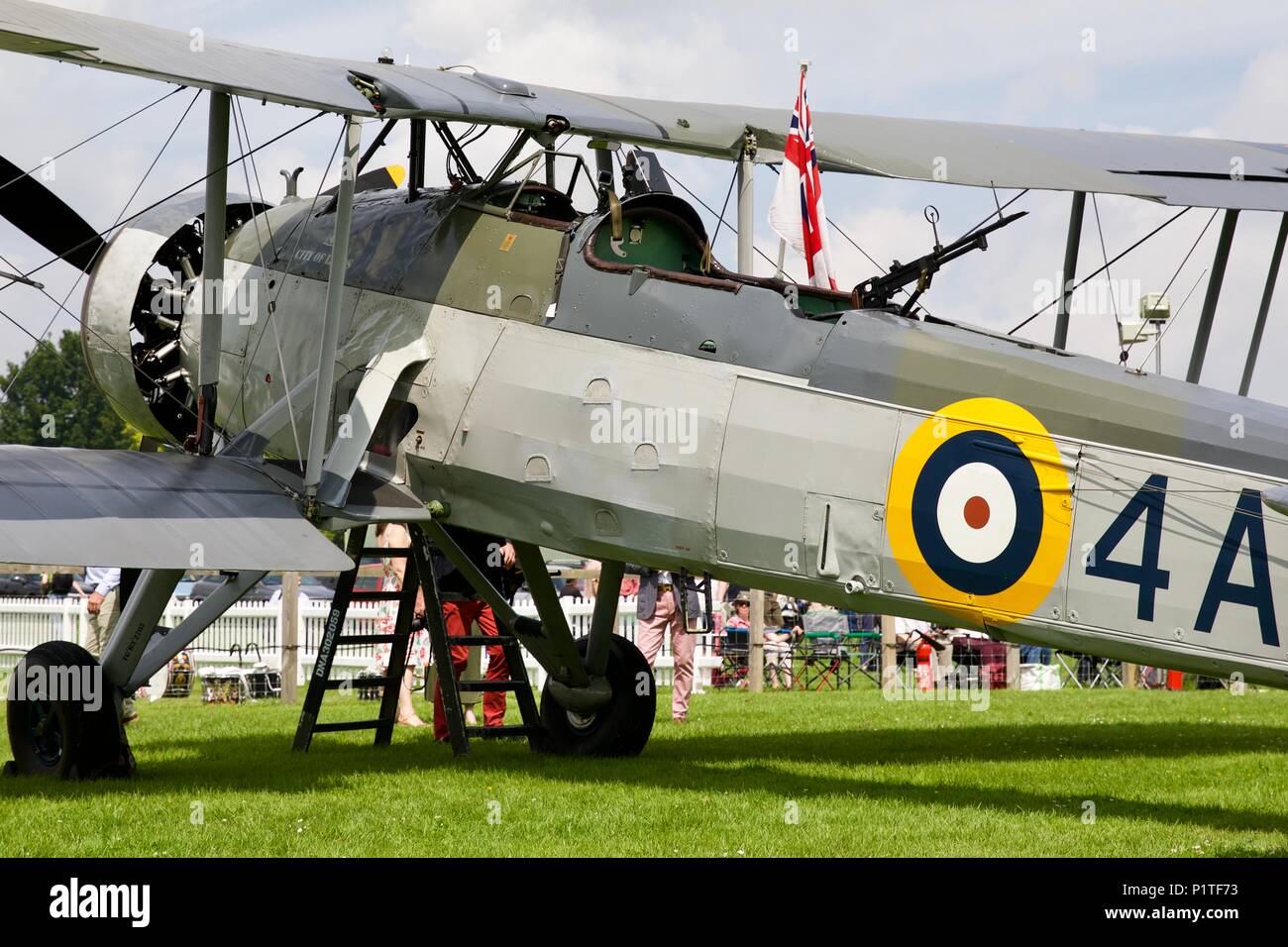 Fairey Swordfish W5856 owned by the Royal Navy Historic Flight design