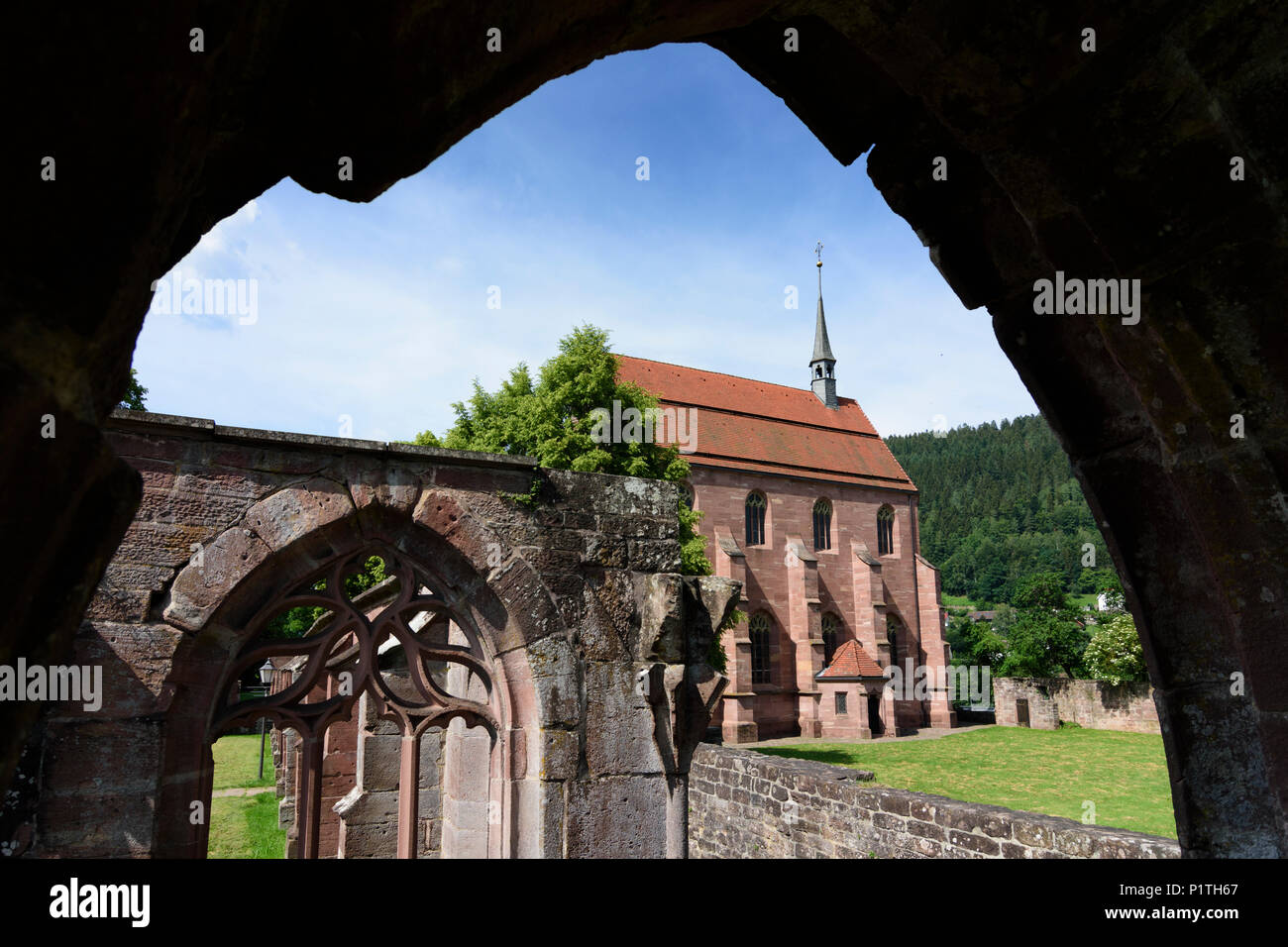 Calw: district Hirsau: ruins of Monastery of St. Peter and St. Paul, chapel Marienkapelle in Germany, Baden-Württemberg, Schwarzwald, Black Forest Stock Photo