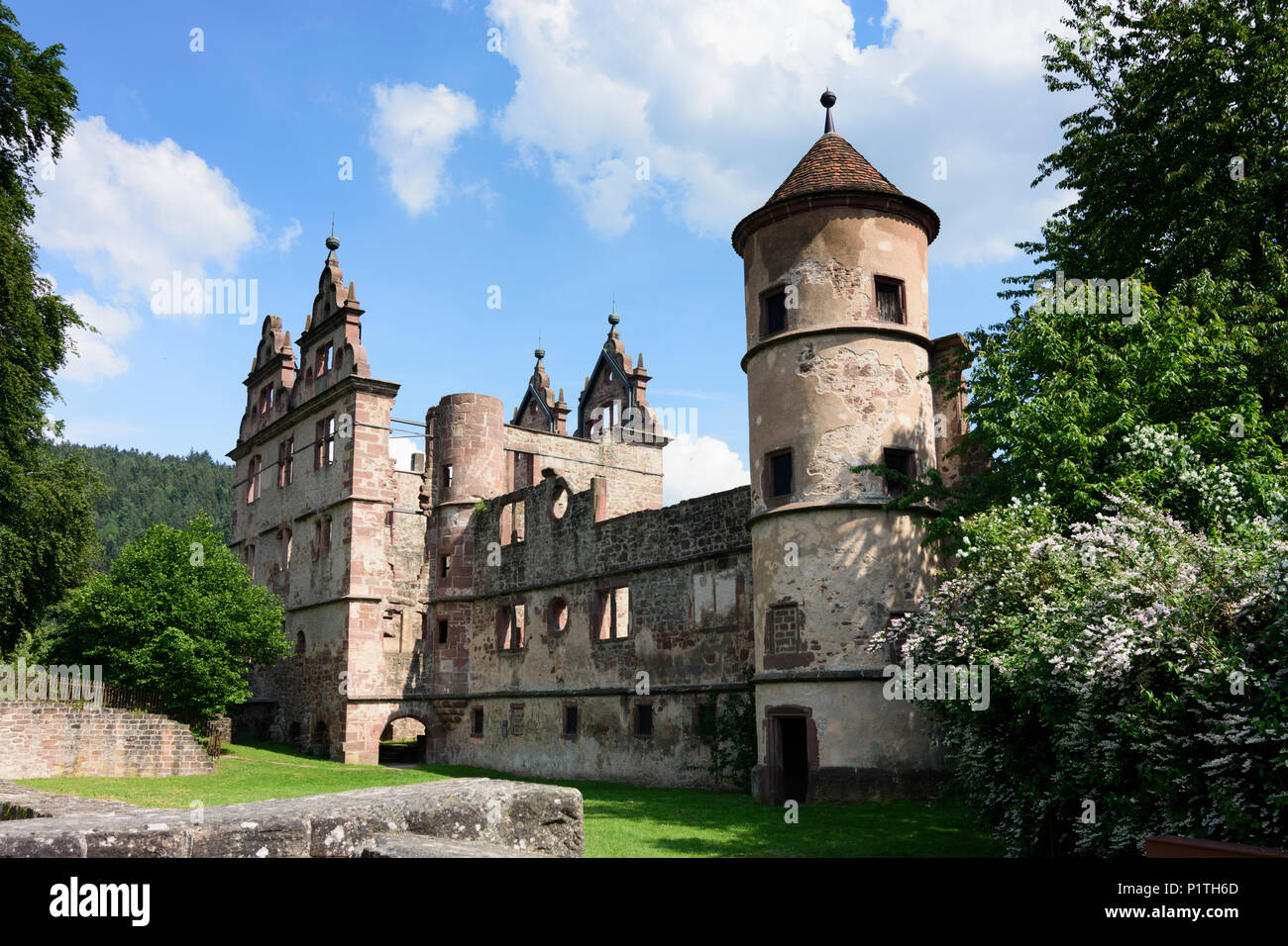 Calw: district Hirsau: ruins of Monastery of St. Peter and St. Paul, former Schloss (castle) in Germany, Baden-Württemberg, Schwarzwald, Black Forest Stock Photo
