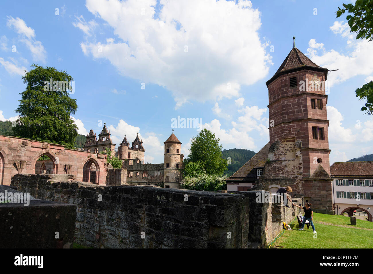 Calw: district Hirsau: ruins of Monastery of St. Peter and St. Paul, former Schloss (castle) in Germany, Baden-Württemberg, Schwarzwald, Black Forest Stock Photo