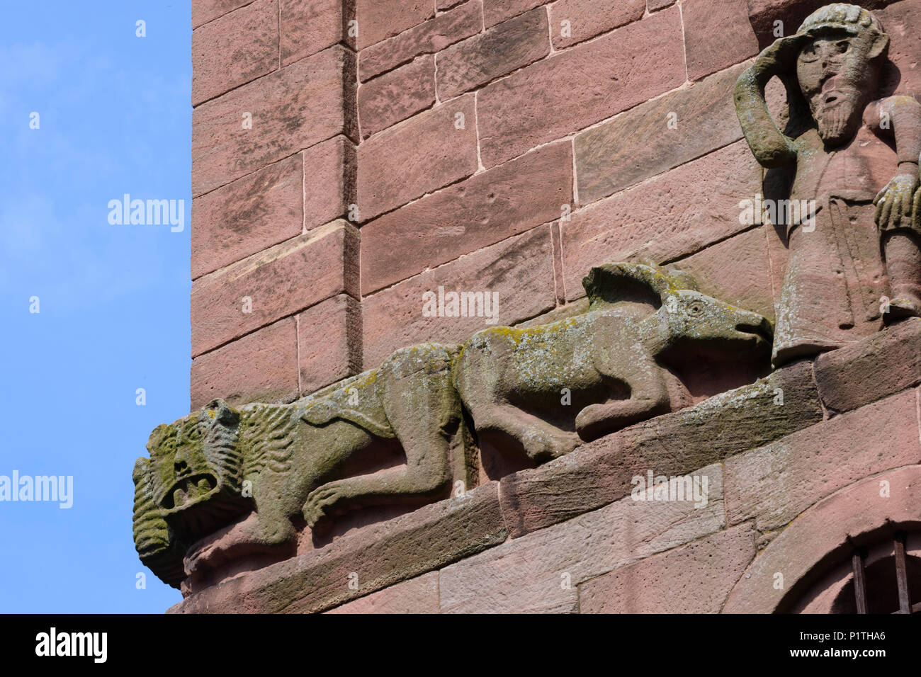 Calw: district Hirsau: ruins of Monastery of St. Peter and St. Paul, Eulenturm (owl tower) in Germany, Baden-Württemberg, Schwarzwald, Black Forest Stock Photo