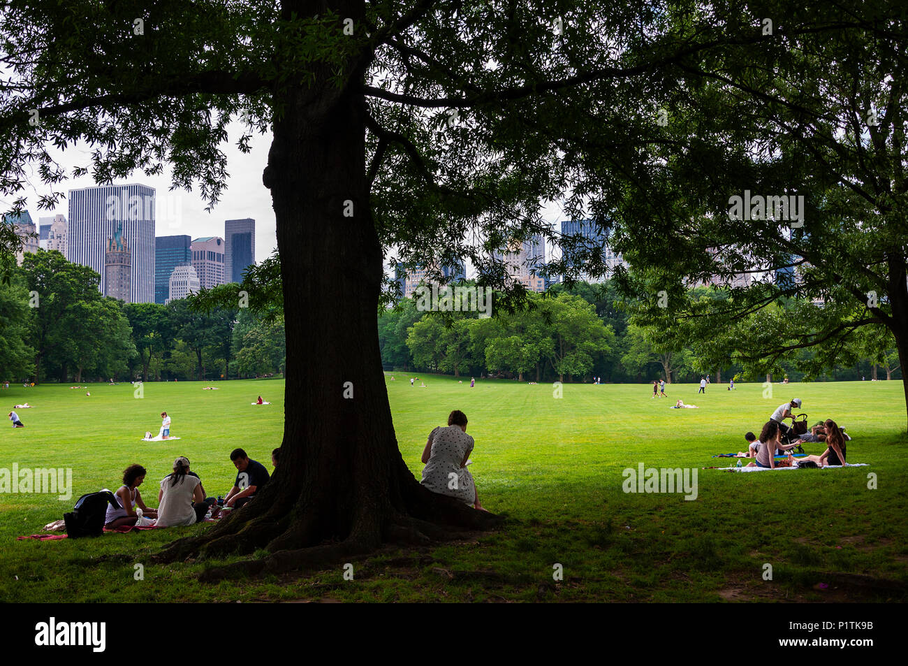 New York City, USA - June 6, 2010: People enjoying a sunny day at the ...