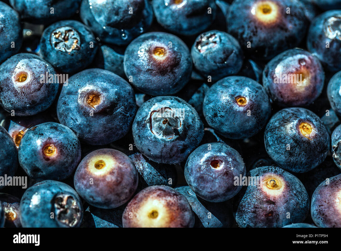 A bunch of blueberries floating in water Stock Photo - Alamy