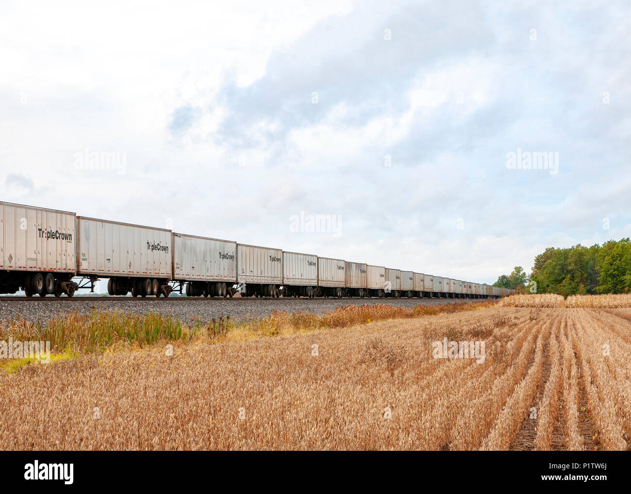 Container Train Cars One Container train cars hi-res stock photography and images - Alamy