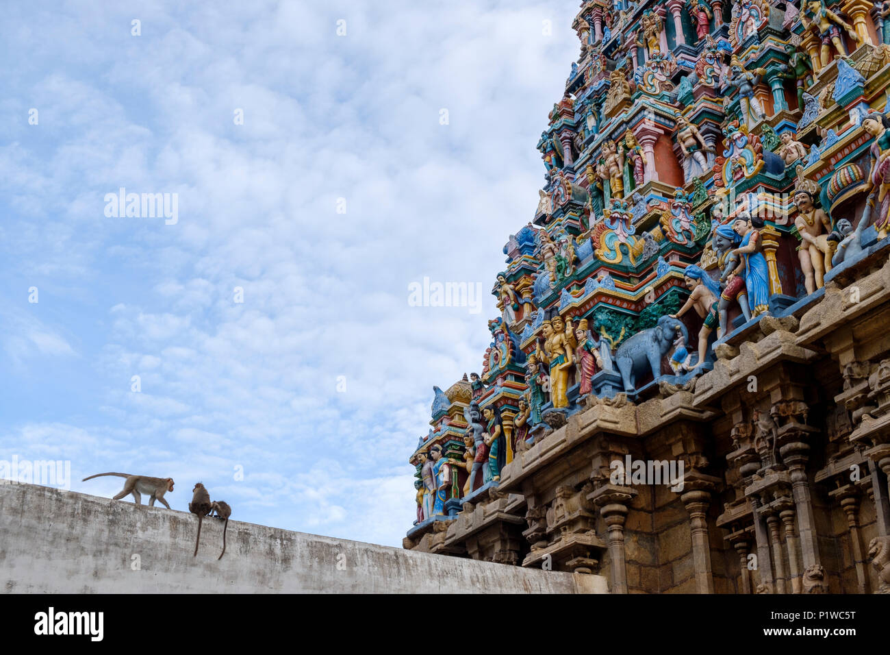 Monkeys and painted statues on one of the gopura (towers) of Kallalagar Temple, Madurai District, Tamil Nadu, India. Stock Photo