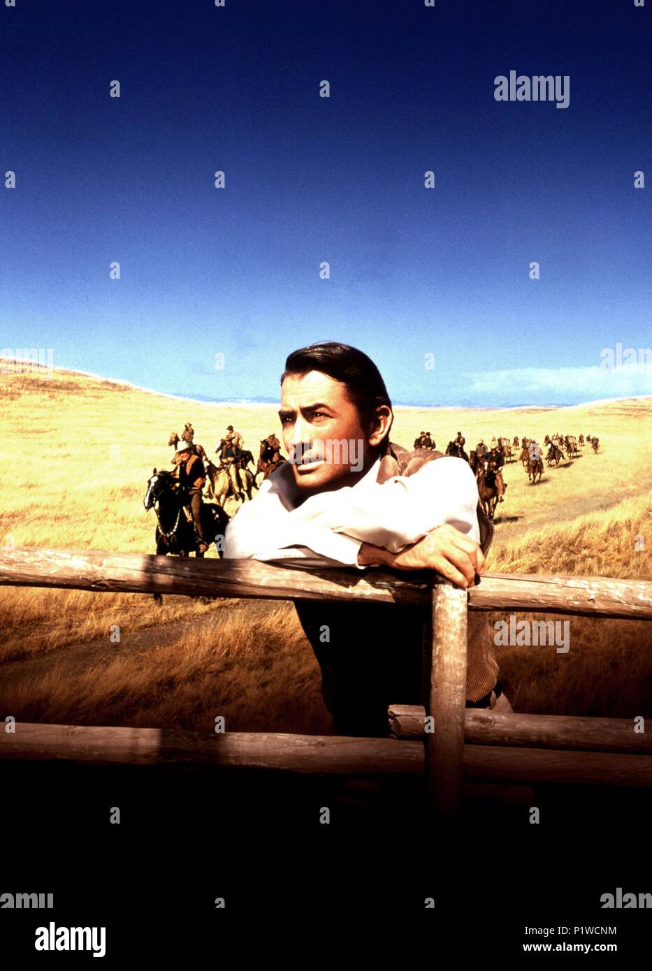 Original Film Title: THE BIG COUNTRY.  English Title: THE BIG COUNTRY.  Film Director: WILLIAM WYLER.  Year: 1958.  Stars: GREGORY PECK. Credit: UNITED ARTISTS / Album Stock Photo