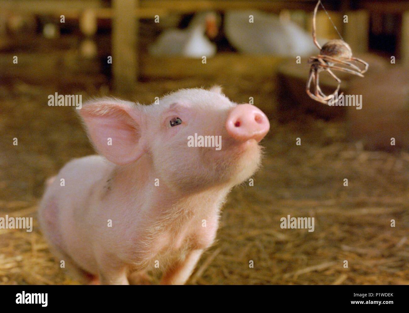 Original Film Title CHARLOTTE'S WEB. English Title CHARLOTTE'S WEB