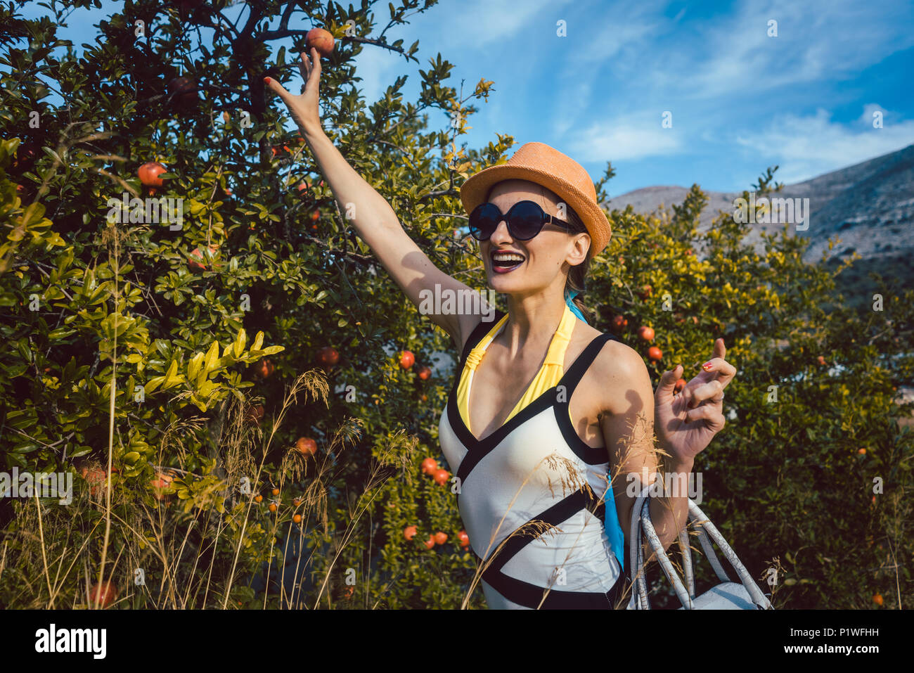 Woman stealing pomegranate fruit from tree looking guilty Stock Photo