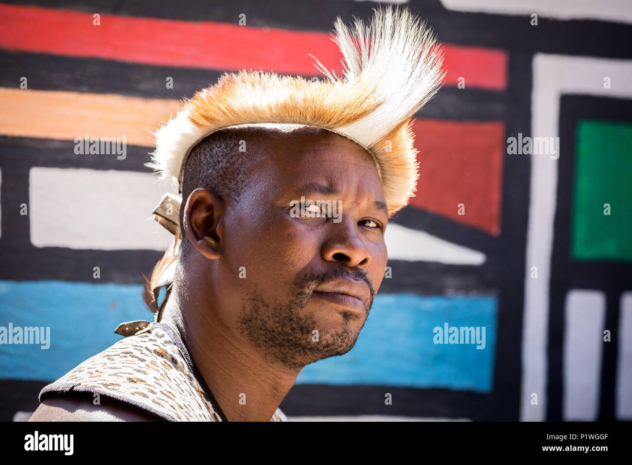 Lesedi Cultural Village, SOUTH AFRICA - 4 November 2016: Portrait of a Zulu Warrior wearing impala skin headdress. Zulu is one of the five main tribes Stock Photo