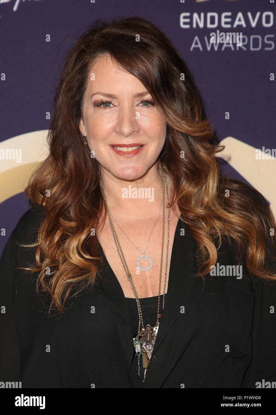 5th Annual Endeavor Awards Featuring: Joely Fisher Where: Los Angeles