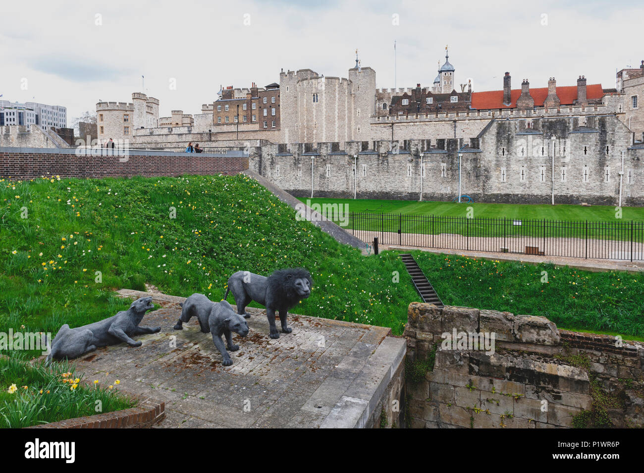 Wire animal sculptures of three Barbary lions by Kendra Haste installed at the Tower of London