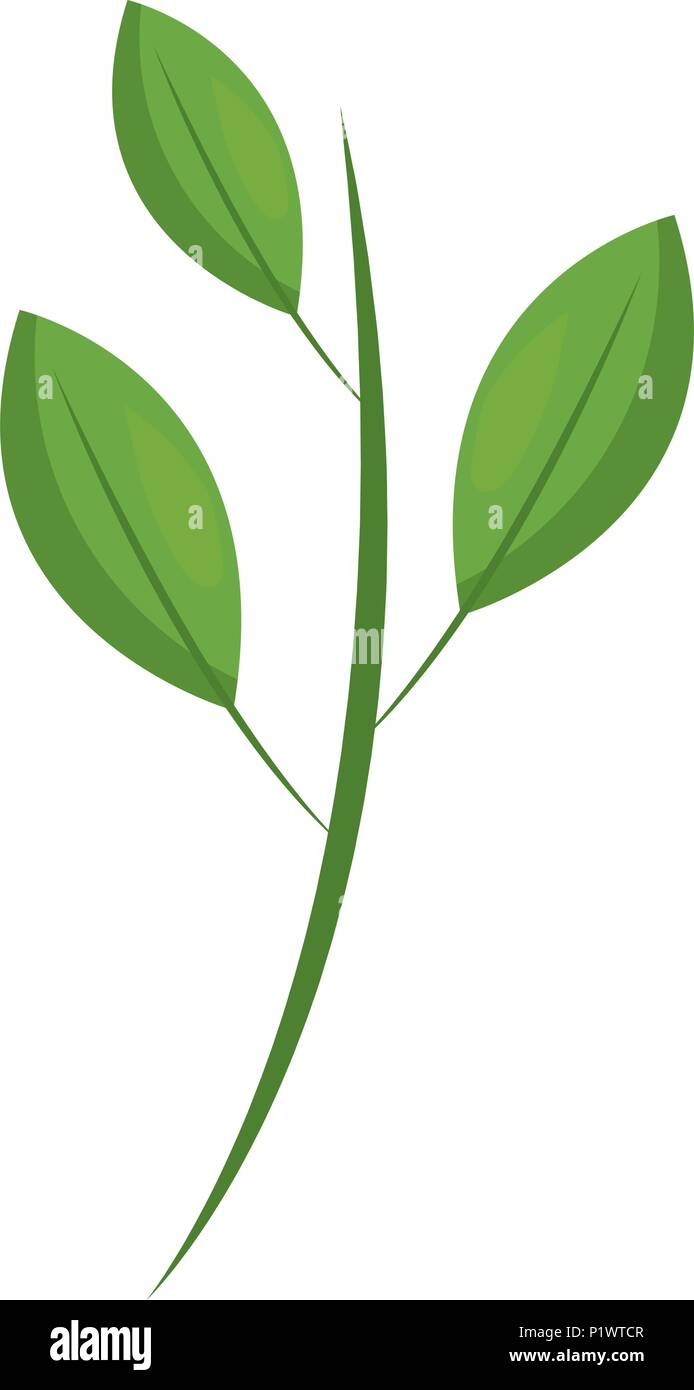 green branch leaves natural foliage vector illustration Stock Vector ...