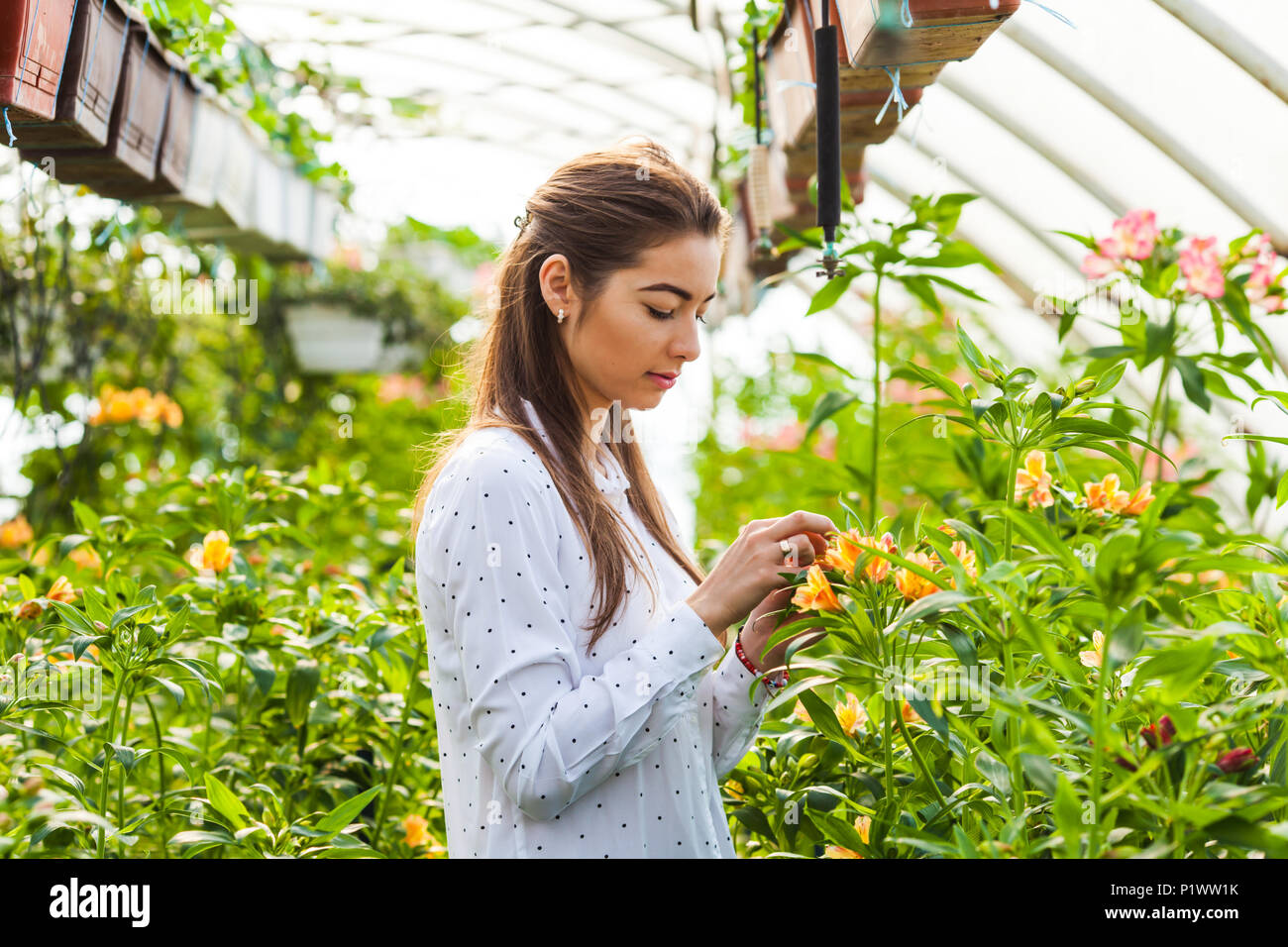Beautiful young woman in a greenhouse Stock Photo - Alamy