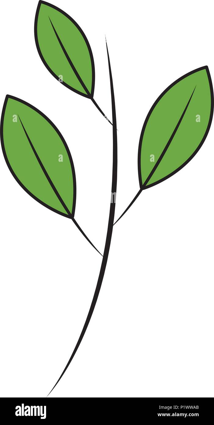 green branch leaves natural foliage vector illustration Stock Vector ...